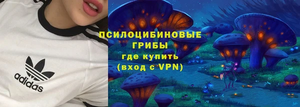 спайс Алзамай