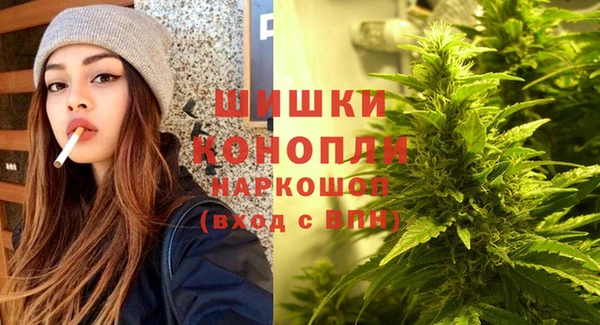 спайс Алзамай